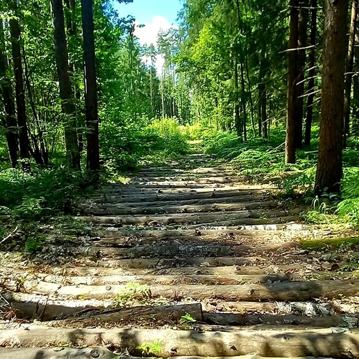 Фотография Русское очерование | Светлана Александровна Череп