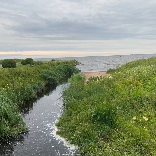 Фотография Река, впадающая в море.   | Азиза  Джобировна  Калпишоева