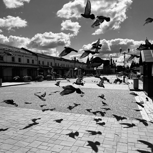 Фотография Будний день | Анна Сергеевна Иванова