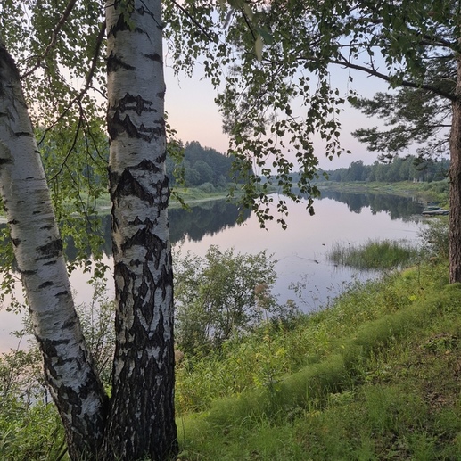 Фотография Молога | Ксения Вячеславовна  Егорова