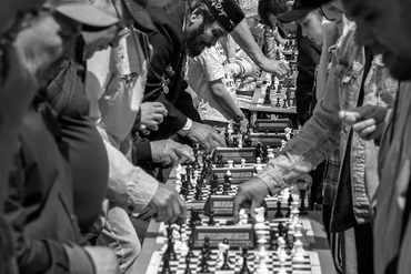 Чемпионат по шахматам