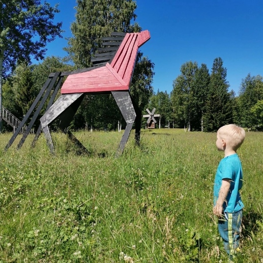 Фотография Мезенский конь  | Оксана Викторовна Журавлева