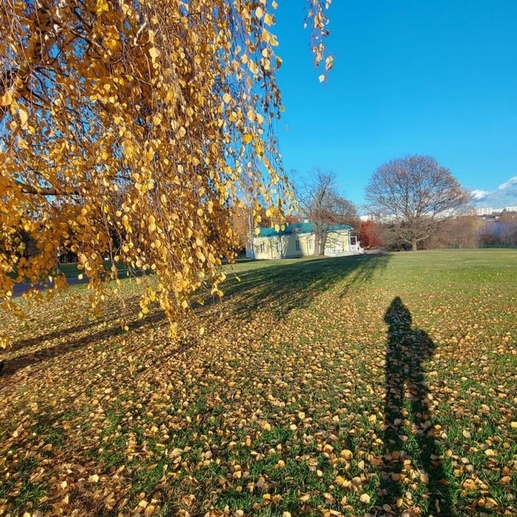 Фотография Осенний парк. | Светлана Валерьевна Аль - Хальди