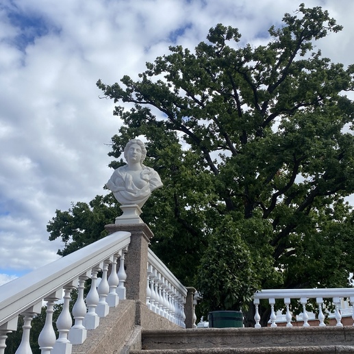 Фотография Фаворит | Василиса Сергеевна Бережницкая
