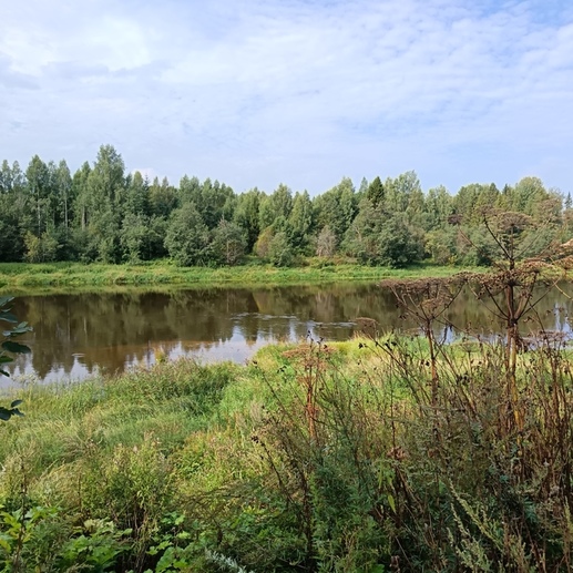 Фотография Матушка-река | Наталья  Алексеевна Нюхлякова