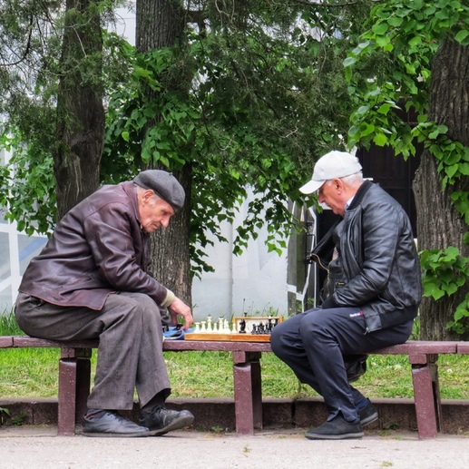 Фотография Шахматная симфония старого парка | Даниил Владиславович Будников