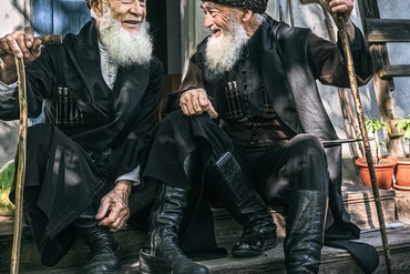 Когда деревья были большими