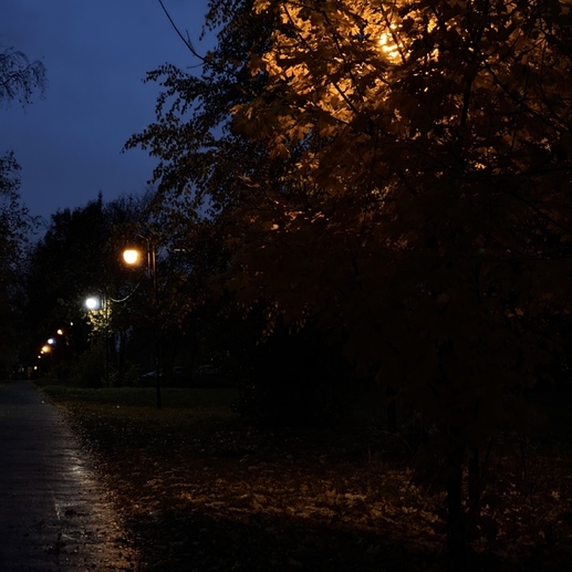 Фотография Осень в городе | Елена  Петровна Чайка