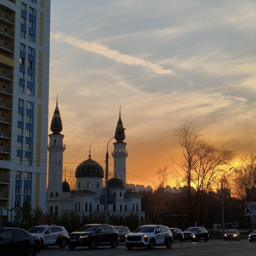 Фотография Уровни восприятия | Мира (Надежда) Рамзисовна Амирова