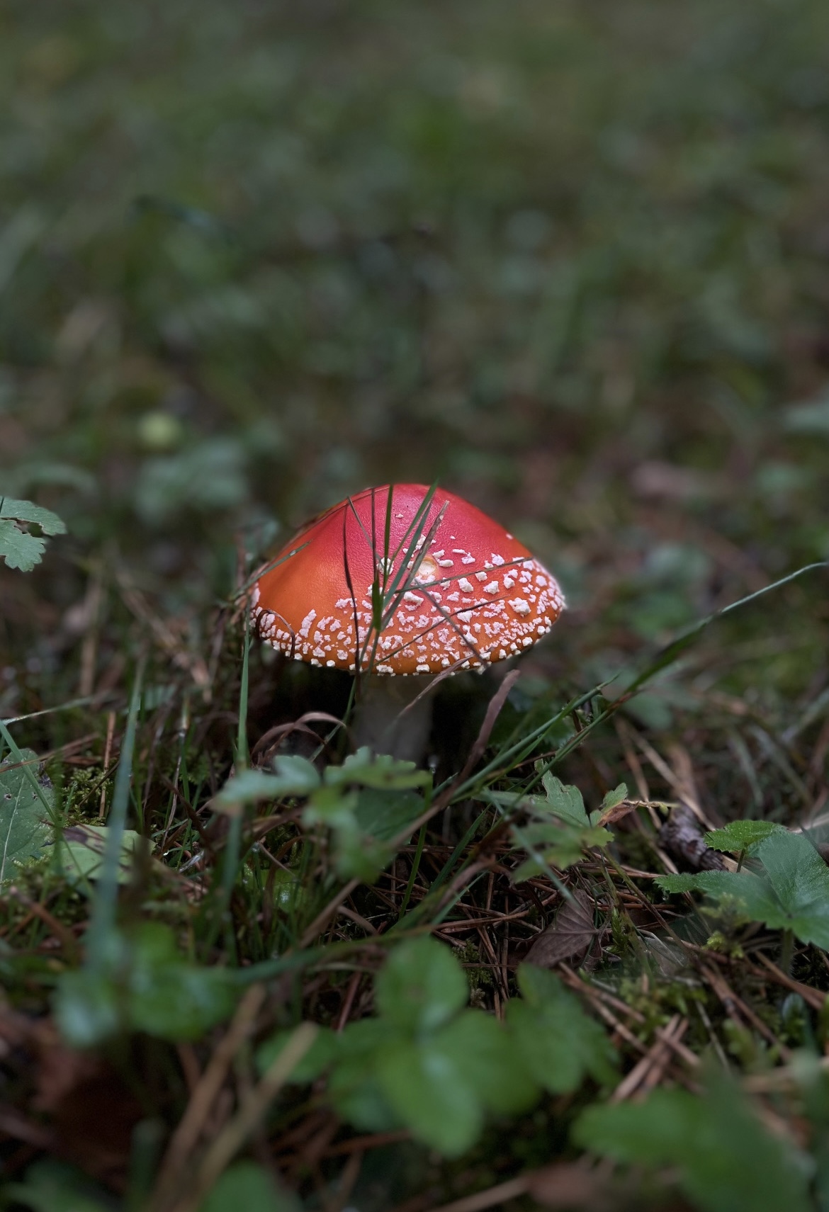 D3AEFA16-72F7-43BB-8AE7-EDAB1ABF5B0F