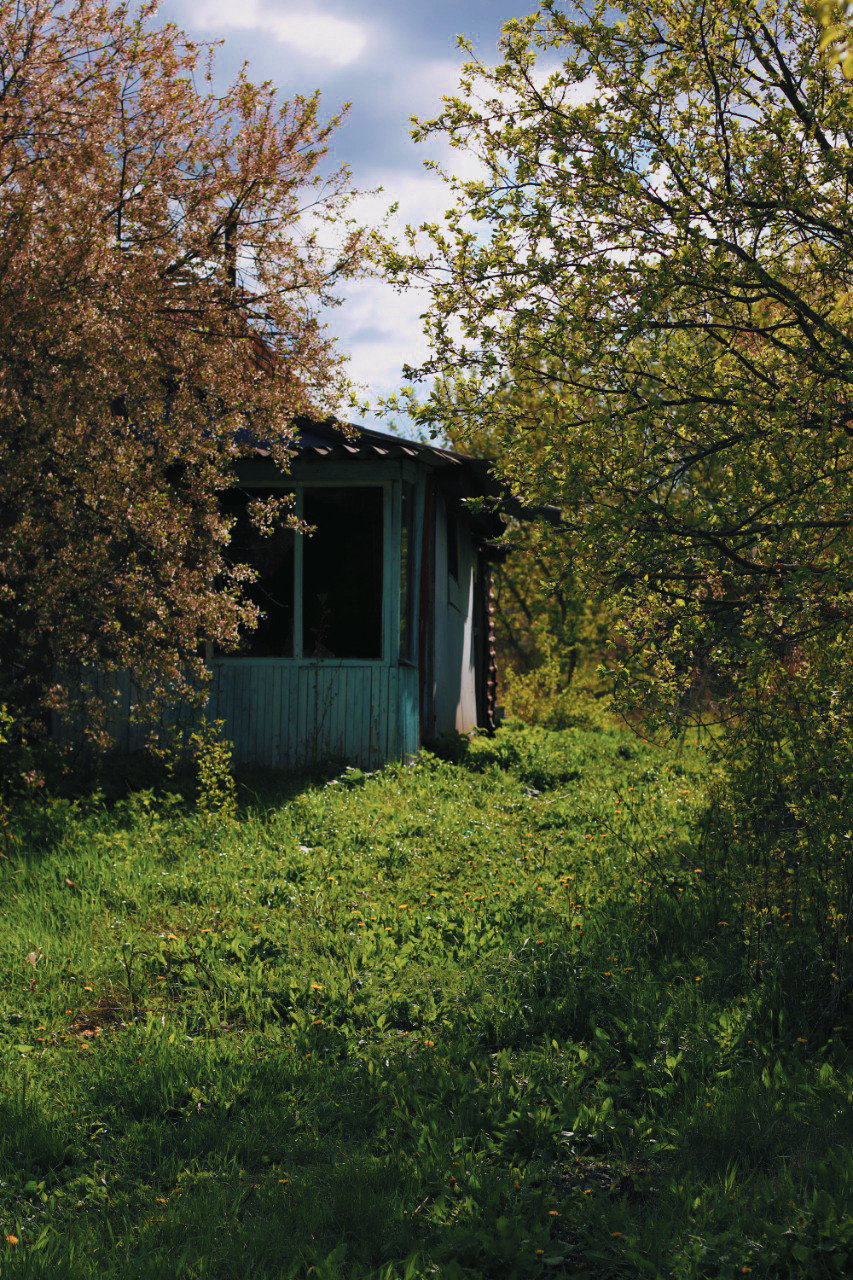 1214C306-12D3-465F-88D7-A66666907676