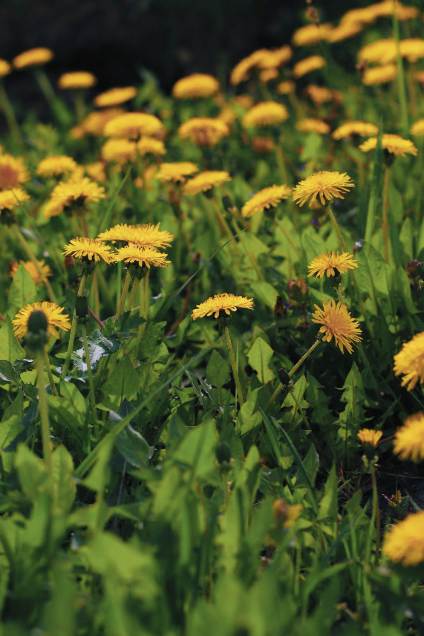 E006D9D1-AE21-4F68-9ED3-02EDD7A0C44C