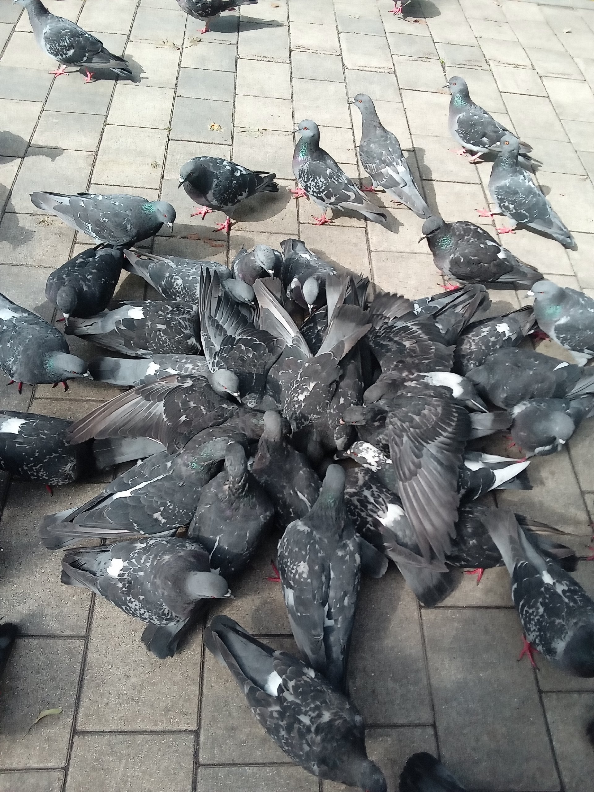 G_viJj4rUr-oc1qK12bX4mJSVxeLElWXeJRr0K8Rc-WW6w-I-Nz7gbIx5SlEoN2FCqv92U45blH_Z9KuqCYRmWgj