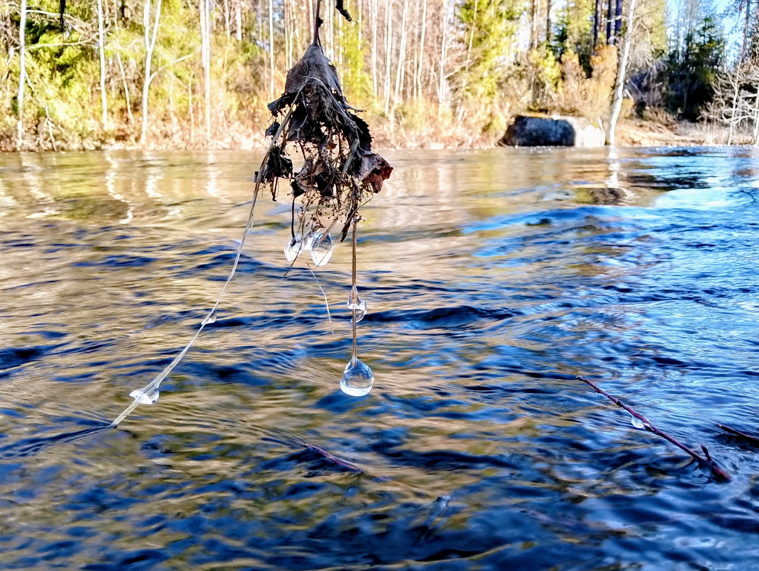 tauTXAWK_bJhXn0VNMQwrpGEr1jpHzeHu0wEX6-OCVGRHz_pRr1Mb3zC361gzBSdg5vqRUB5e0OWO-p25Y7Ole_N