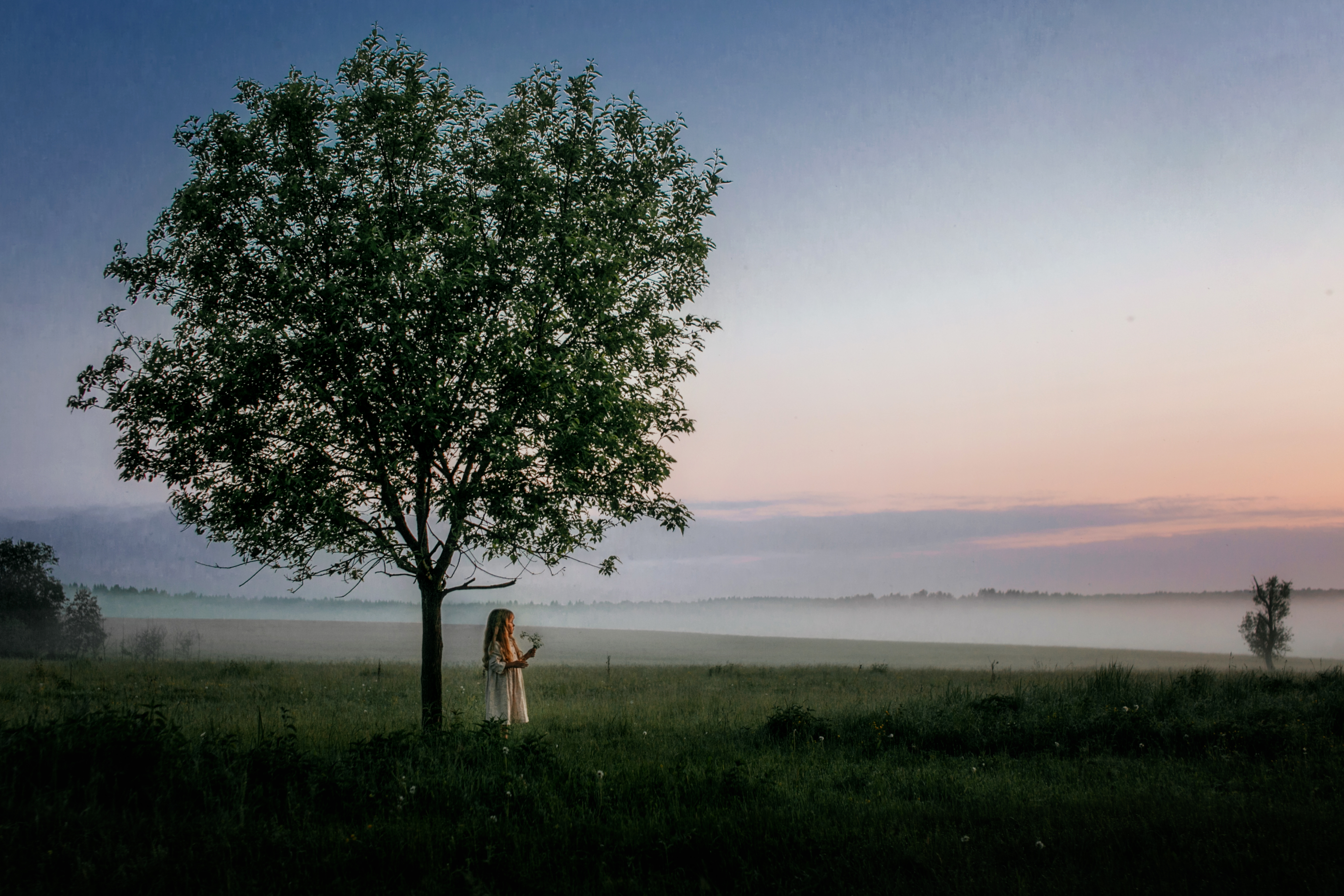 II6A2198-6 копия