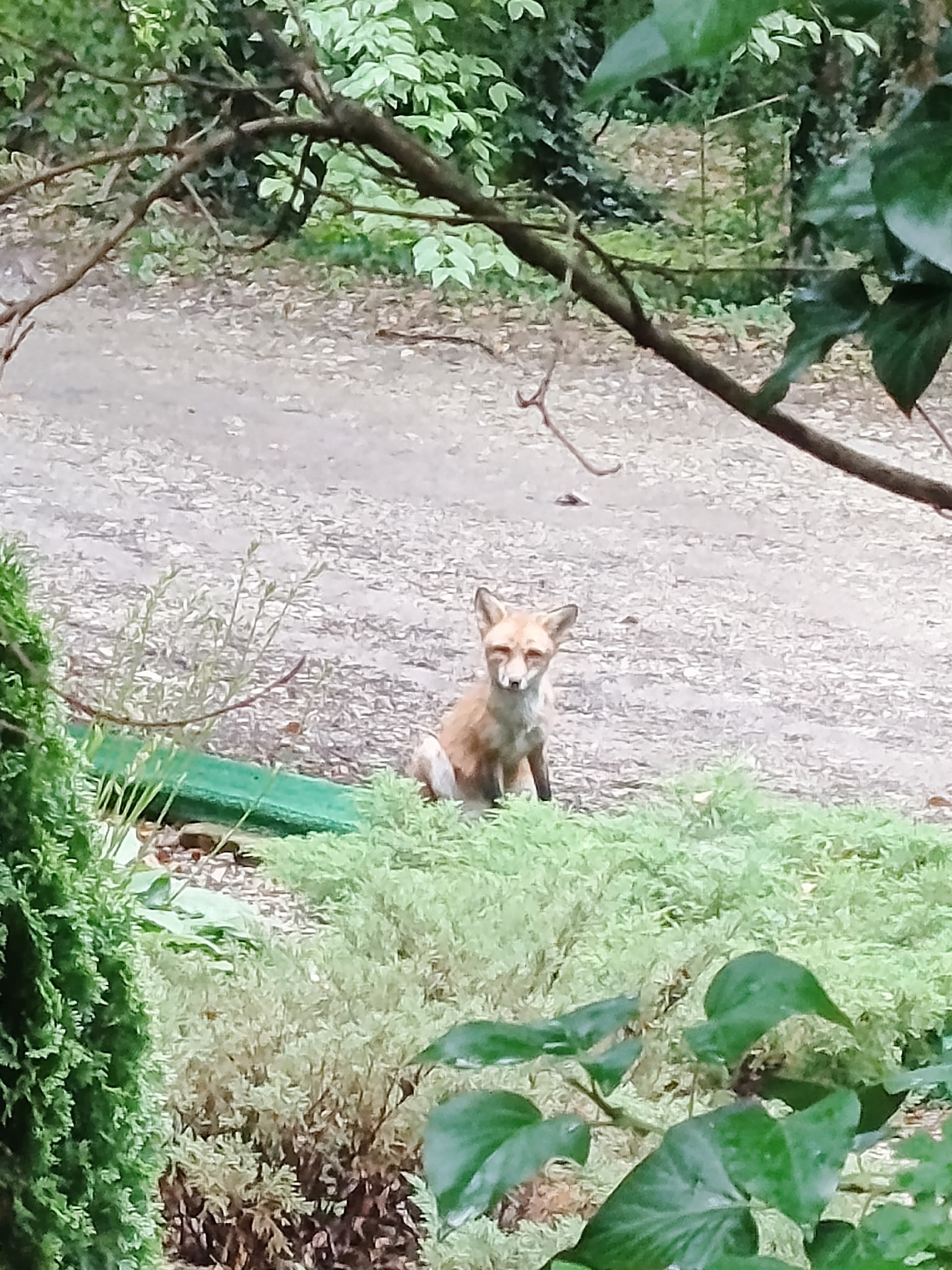 Уникальная природа Предгорья Кавказа