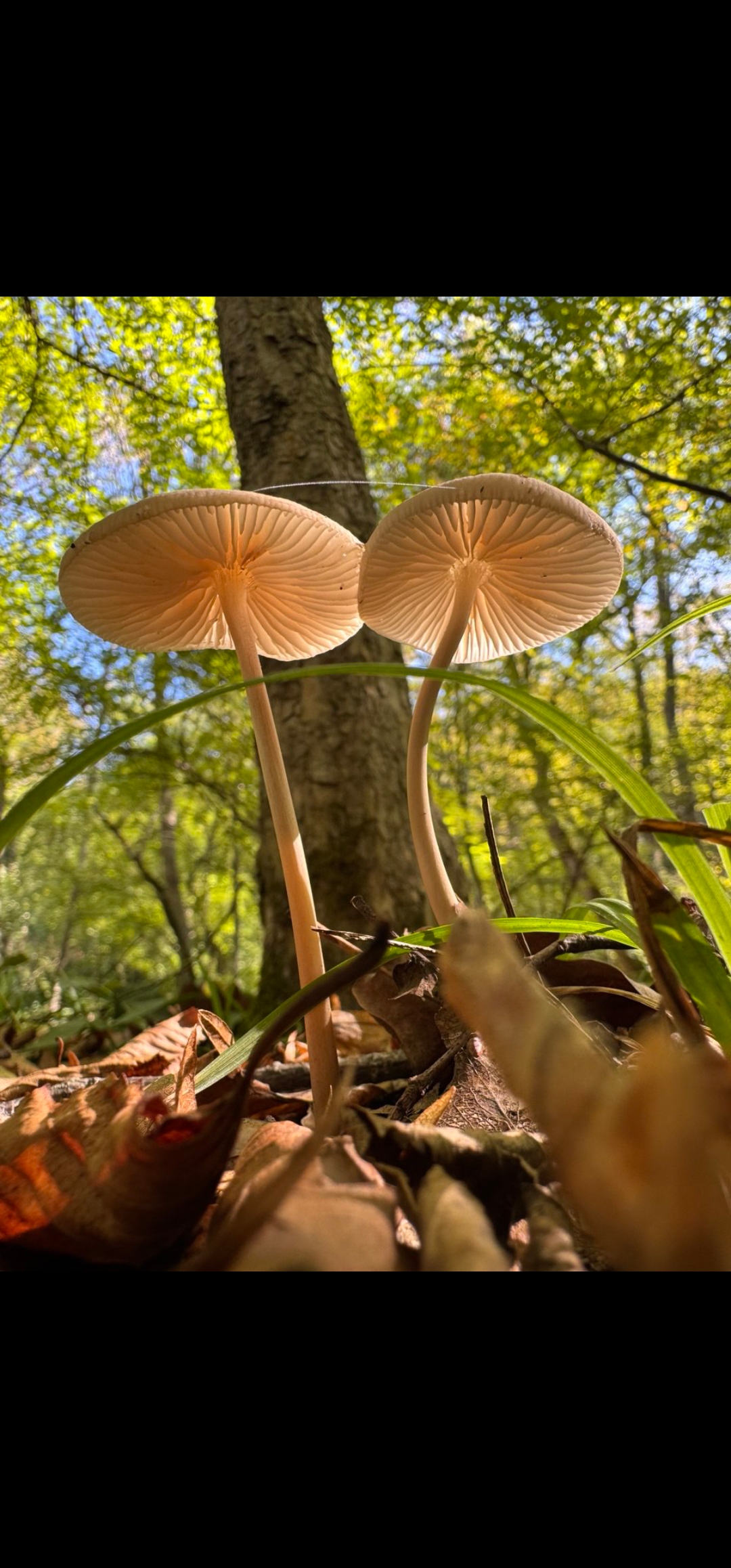 Screenshot_20251007_121048_Gallery