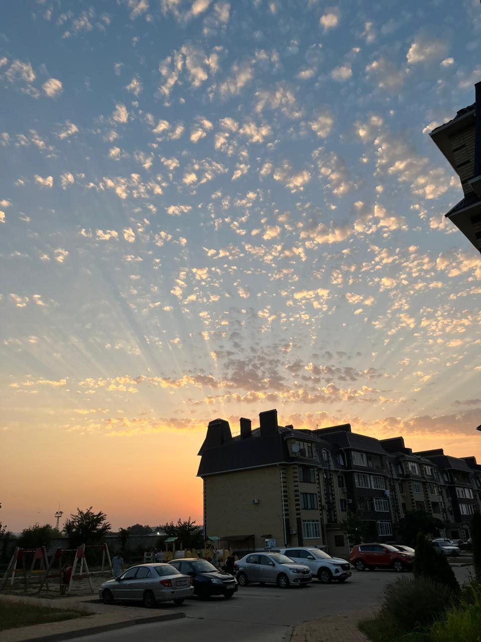 IMG-20250924-WA0021(1)