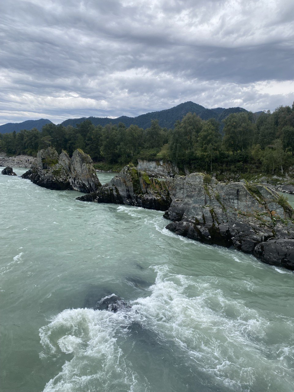 photo_5415591136623459401_y