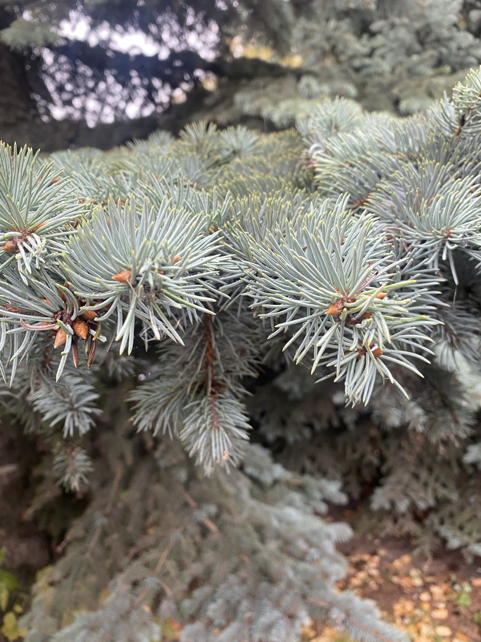 photo_5415591136623459437_y