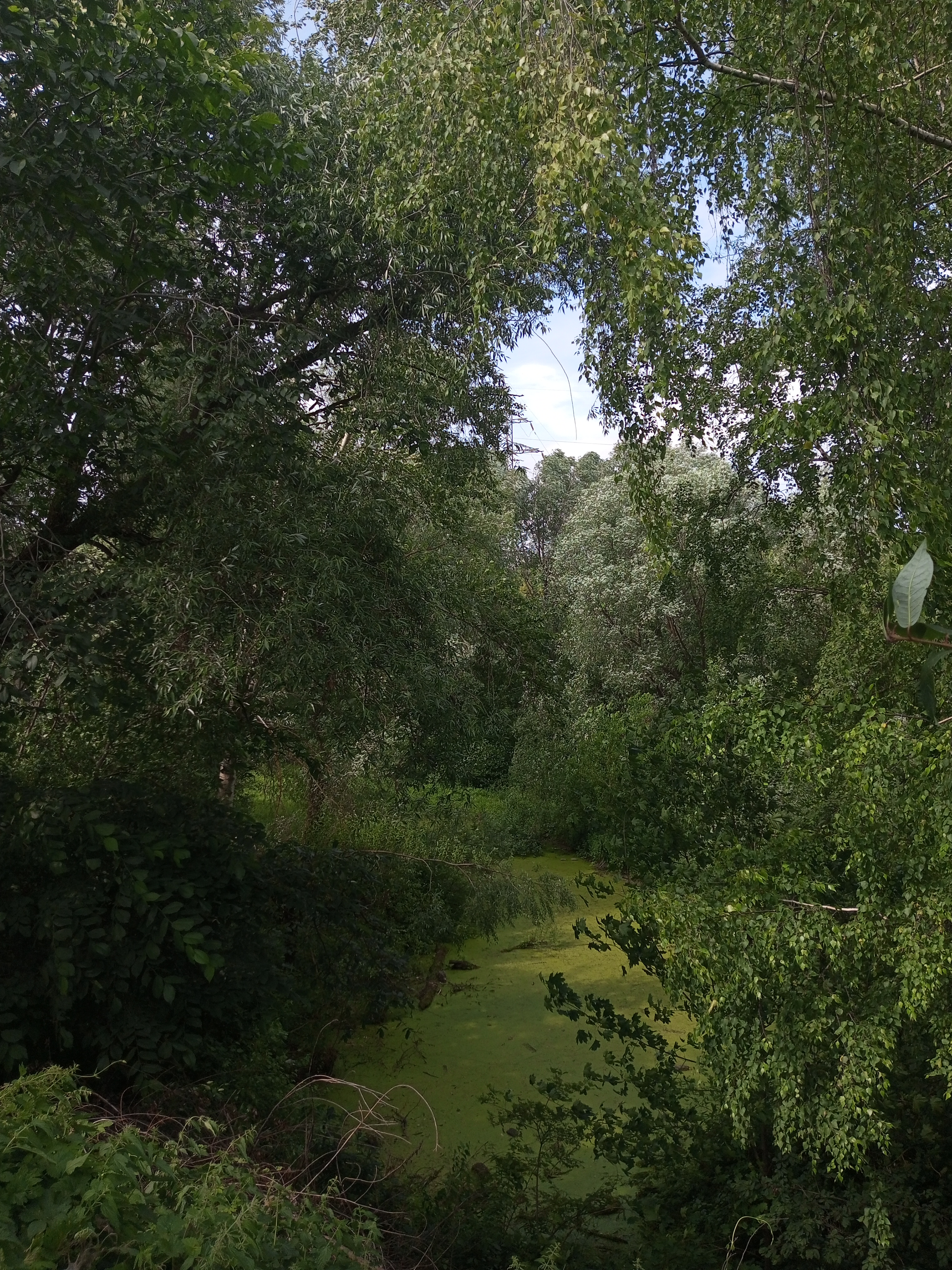 IMG_20250625_143644_404