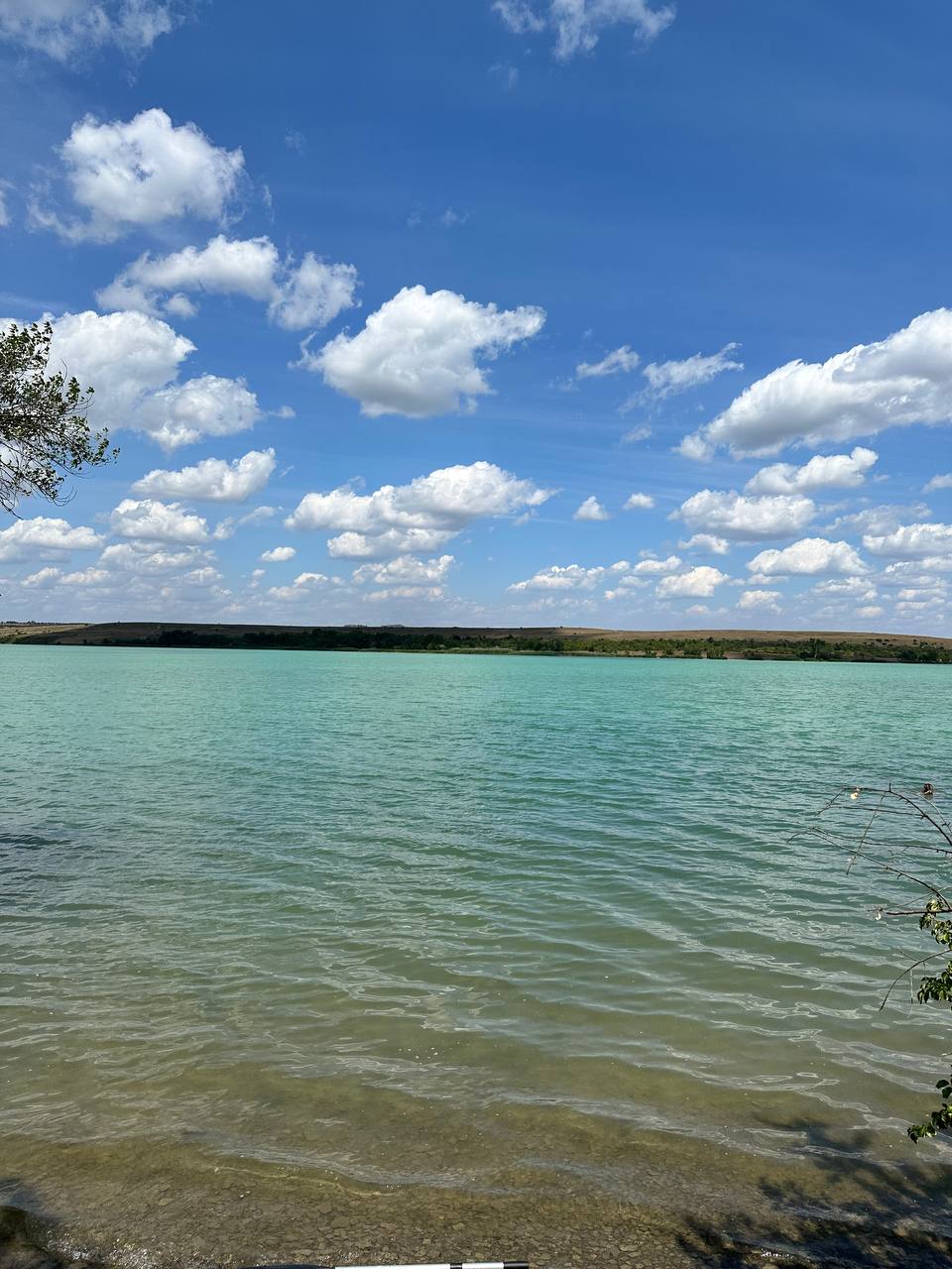 IMG_20240721_120520_266