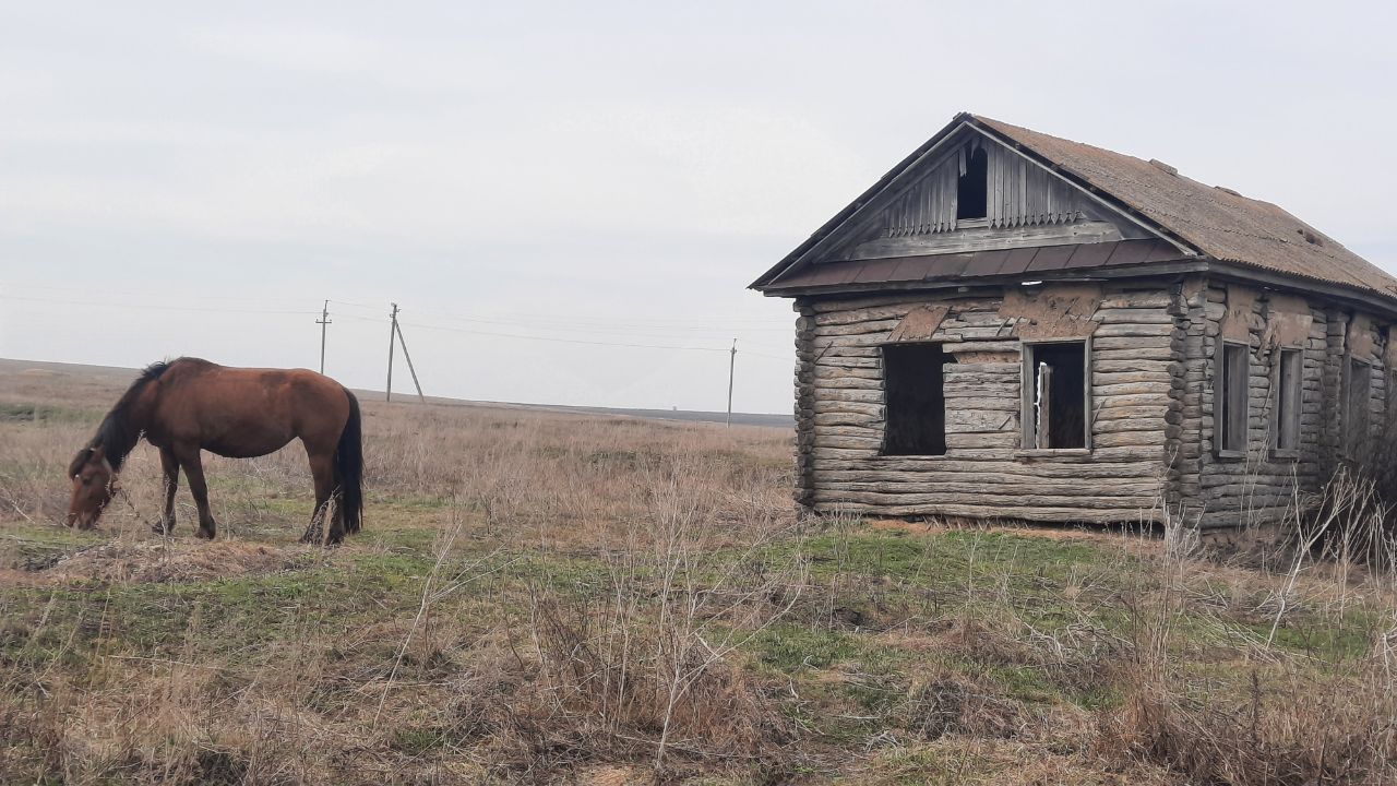 photo_2025-02-07_14-47-28