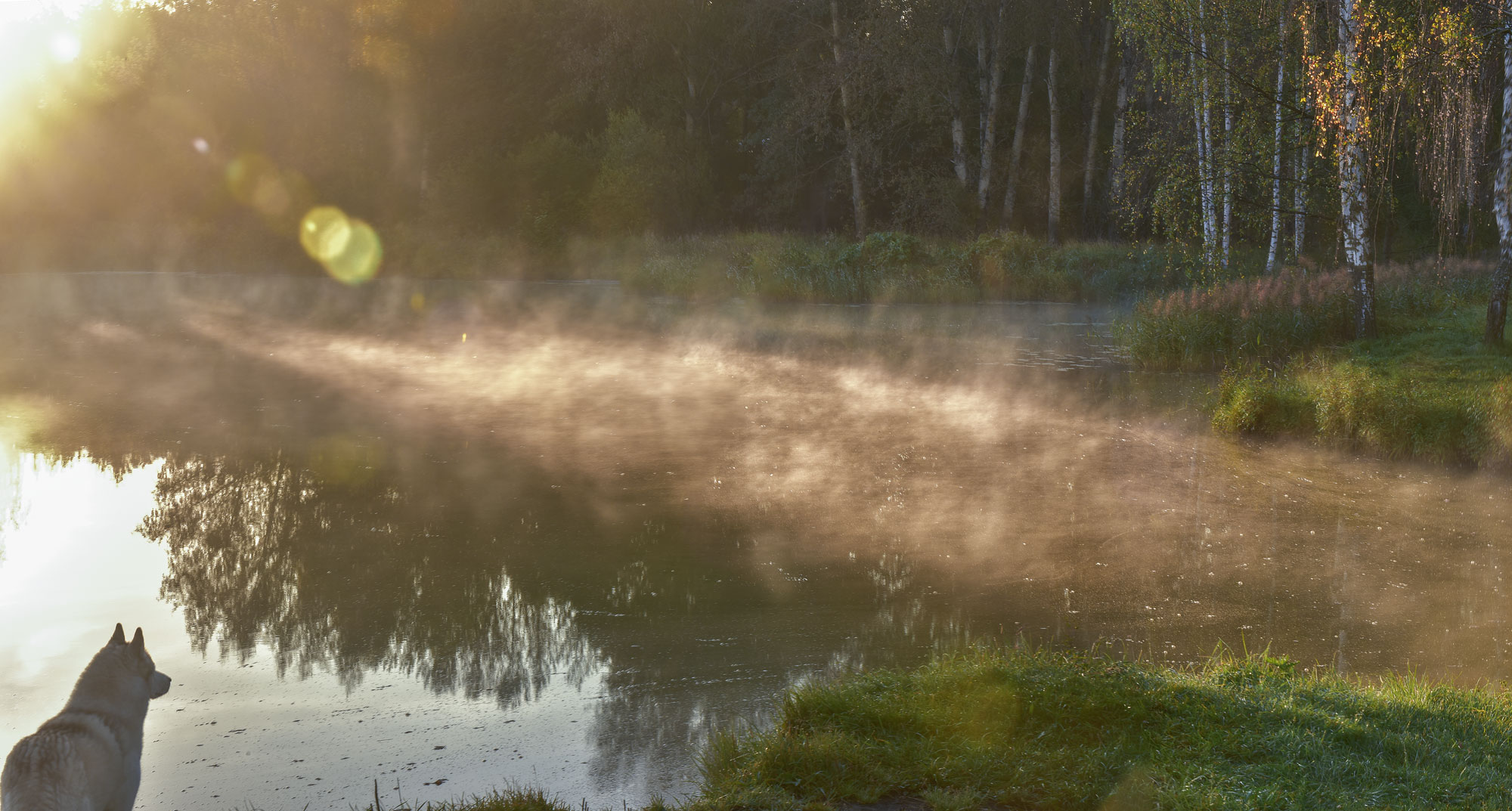 Панорама_без_названия-1
