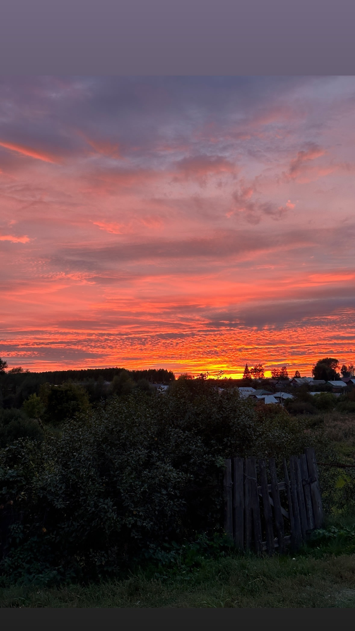 4FDA113F-D987-495D-914D-7CEA3871E327