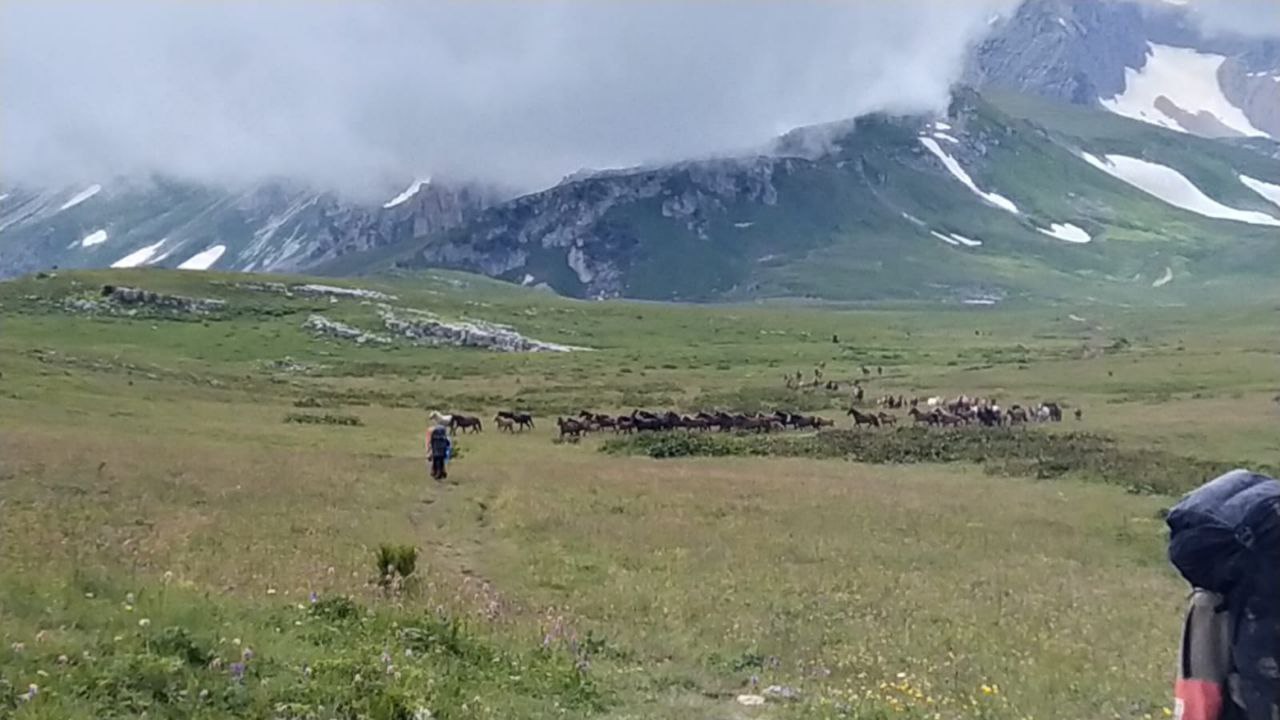 IMG_20251007_163817_534