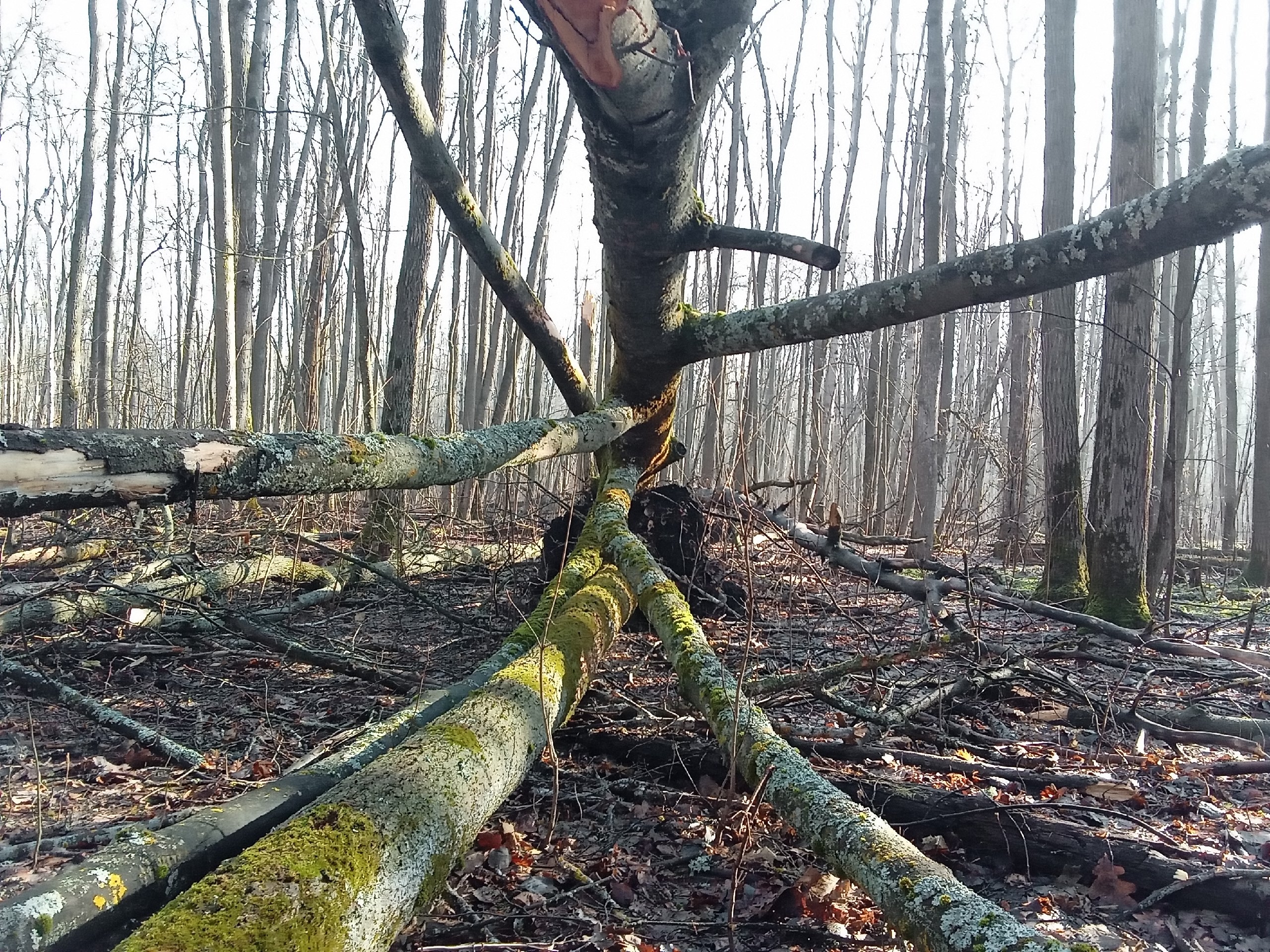 JLs4CarAu3QjIkZw05FYpsCXSRd9cUPYSJhQhOlq1ROE62we2qIbXjQ-FZiH8-szW2l3d7Aa2n2wNkw-dZG5168N