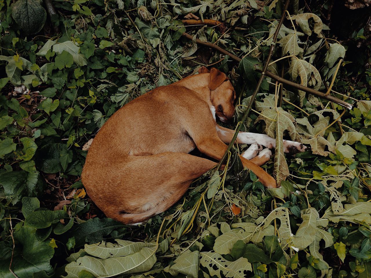 IMG_20251007_133652_0215