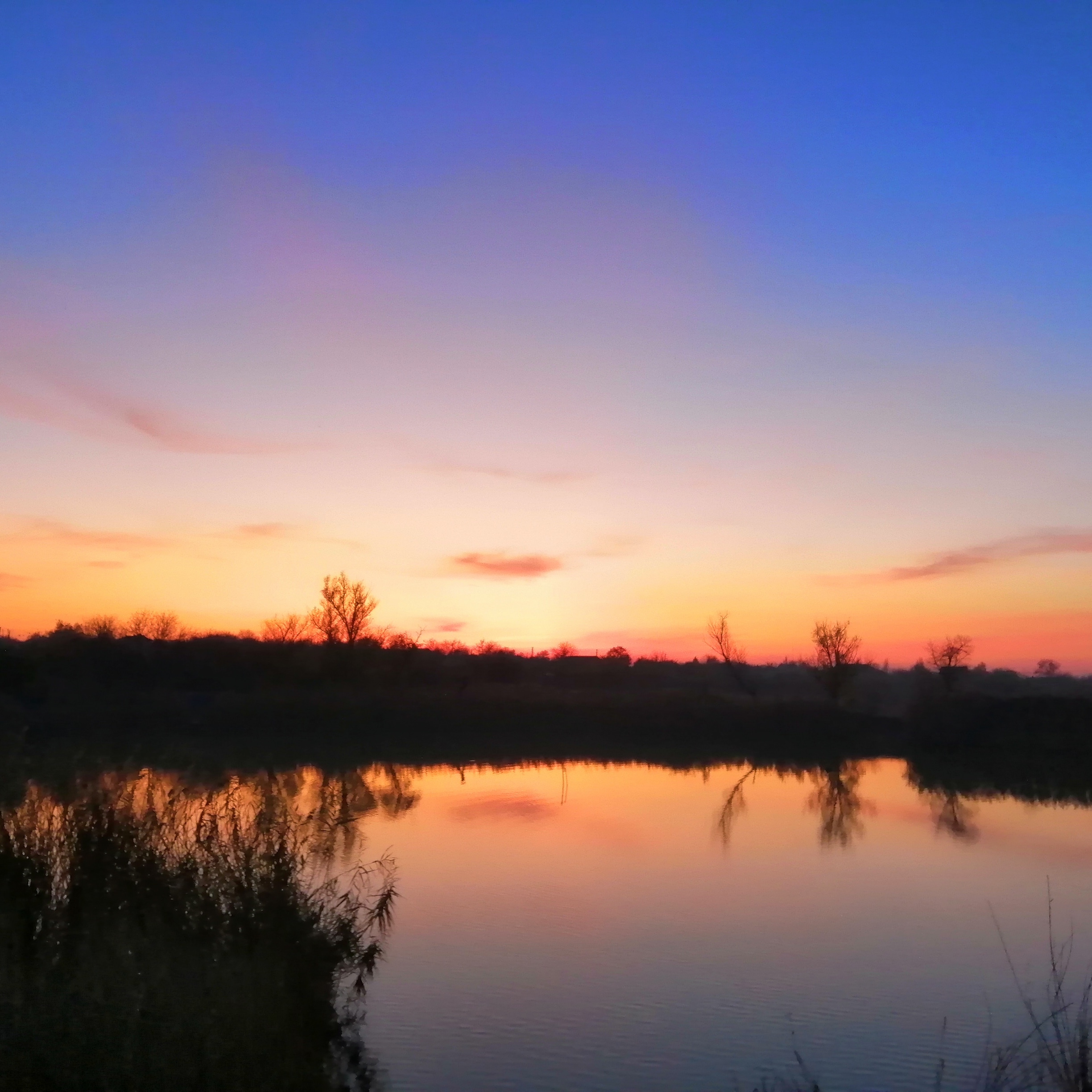 IMG_20191023_191452_474