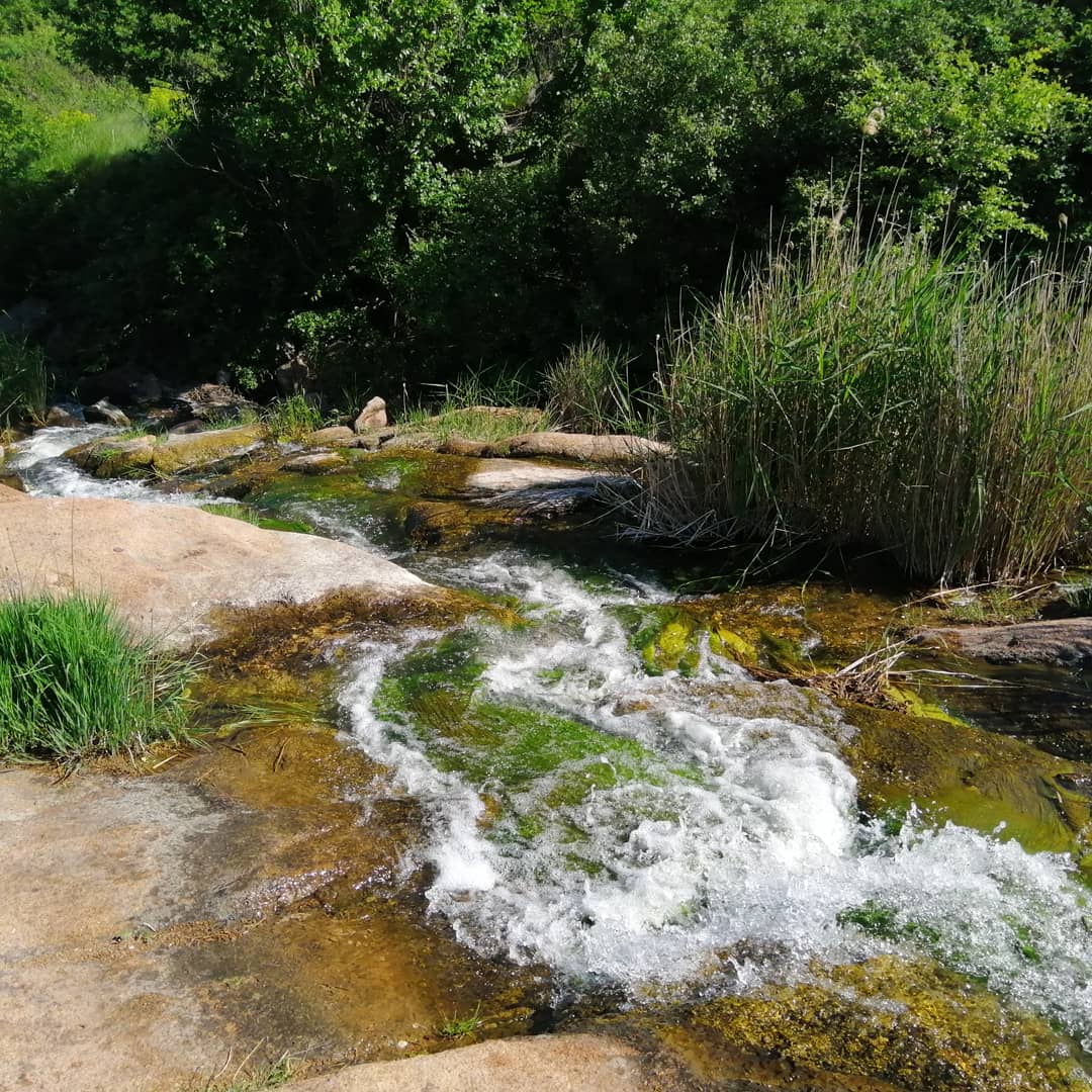 IMG_20190604_205438_547