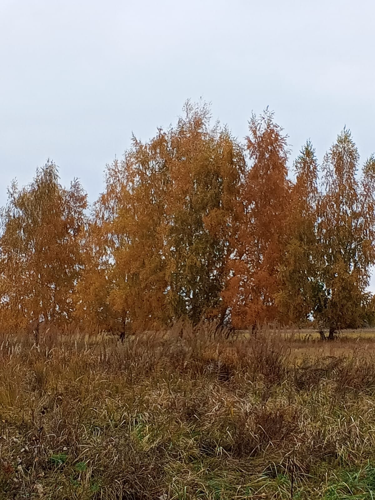 84f62ff2-0f04-4c12-93eb-39318b29bb1d