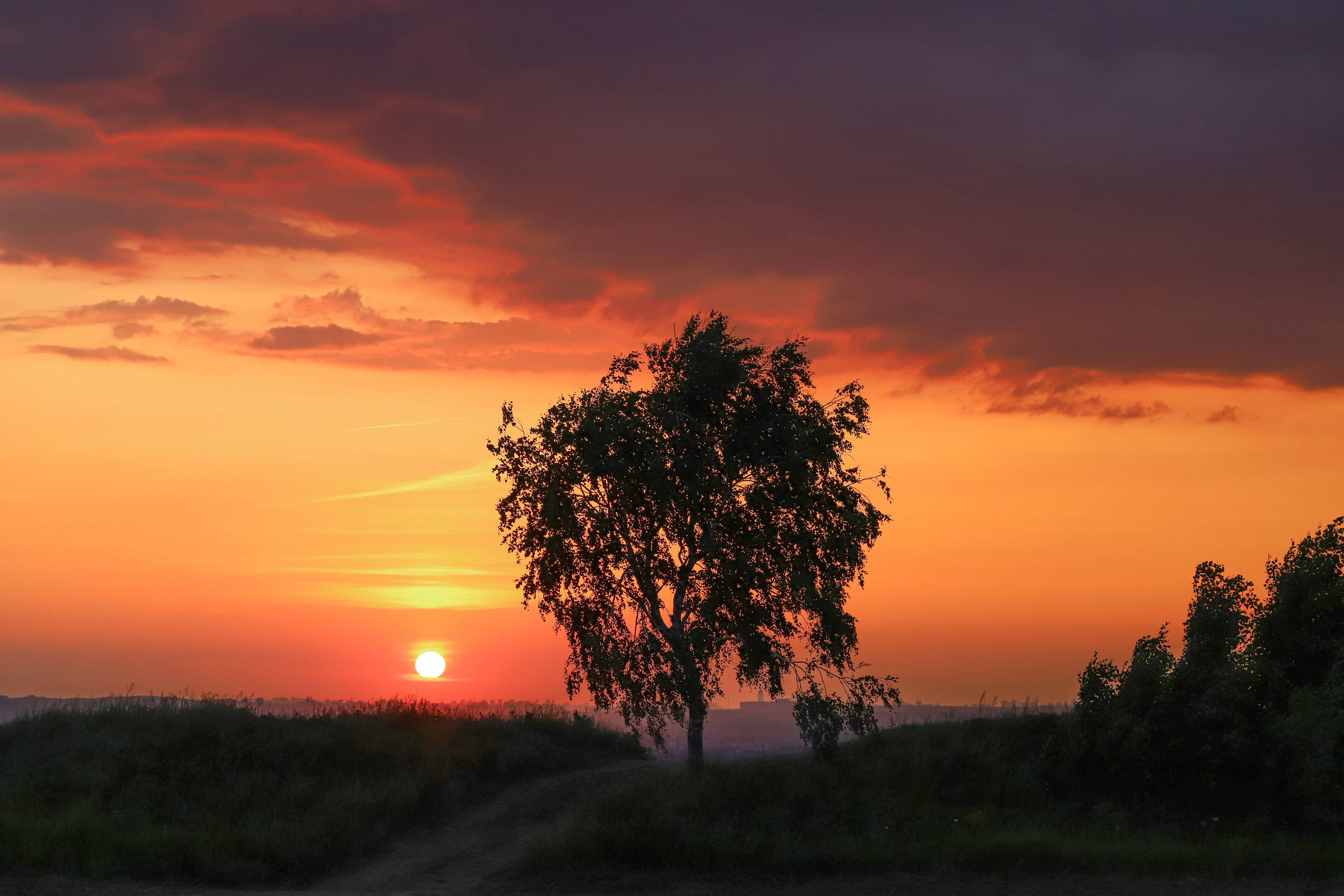 IMG_9308.jpgф.jpgу