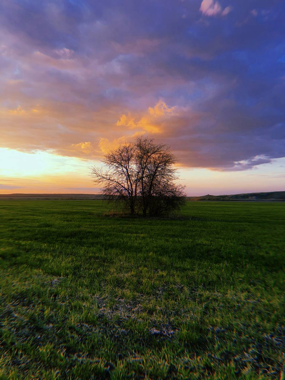 photo_2024-04-07_21-45-45