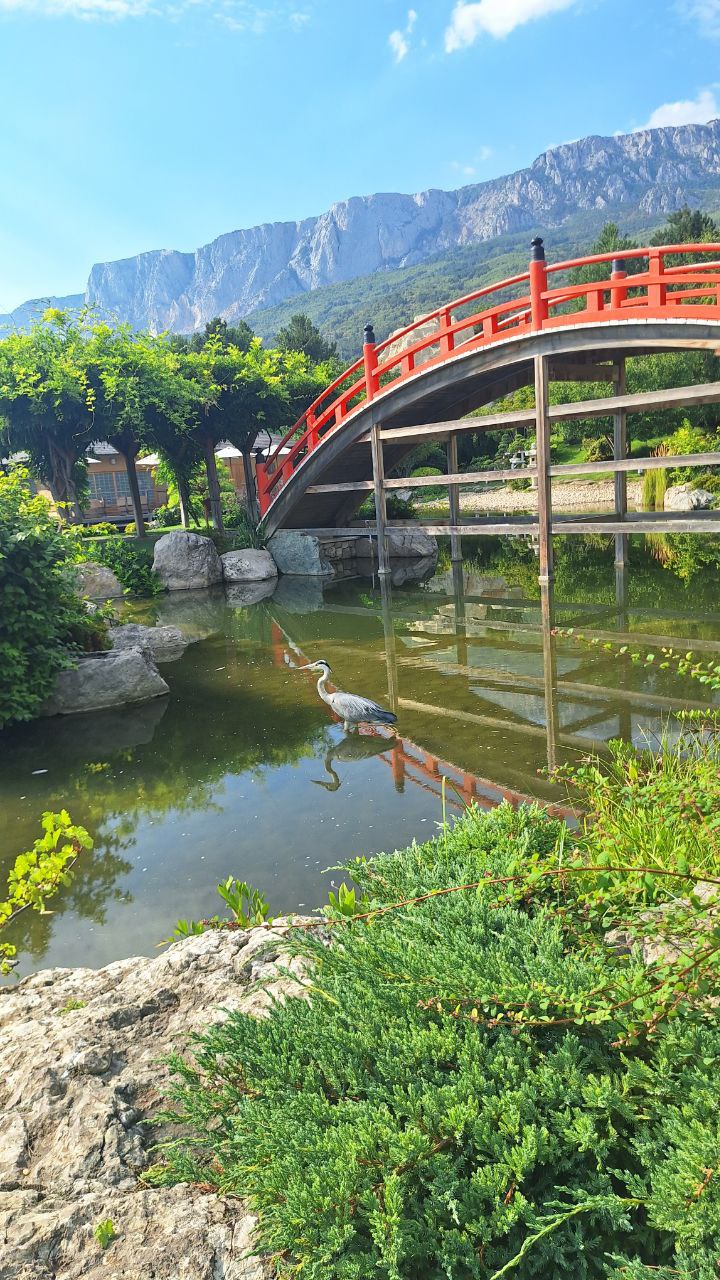 IMG_20250803_201531_227