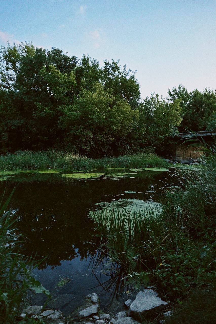 photo_2024-08-02_20-58-21