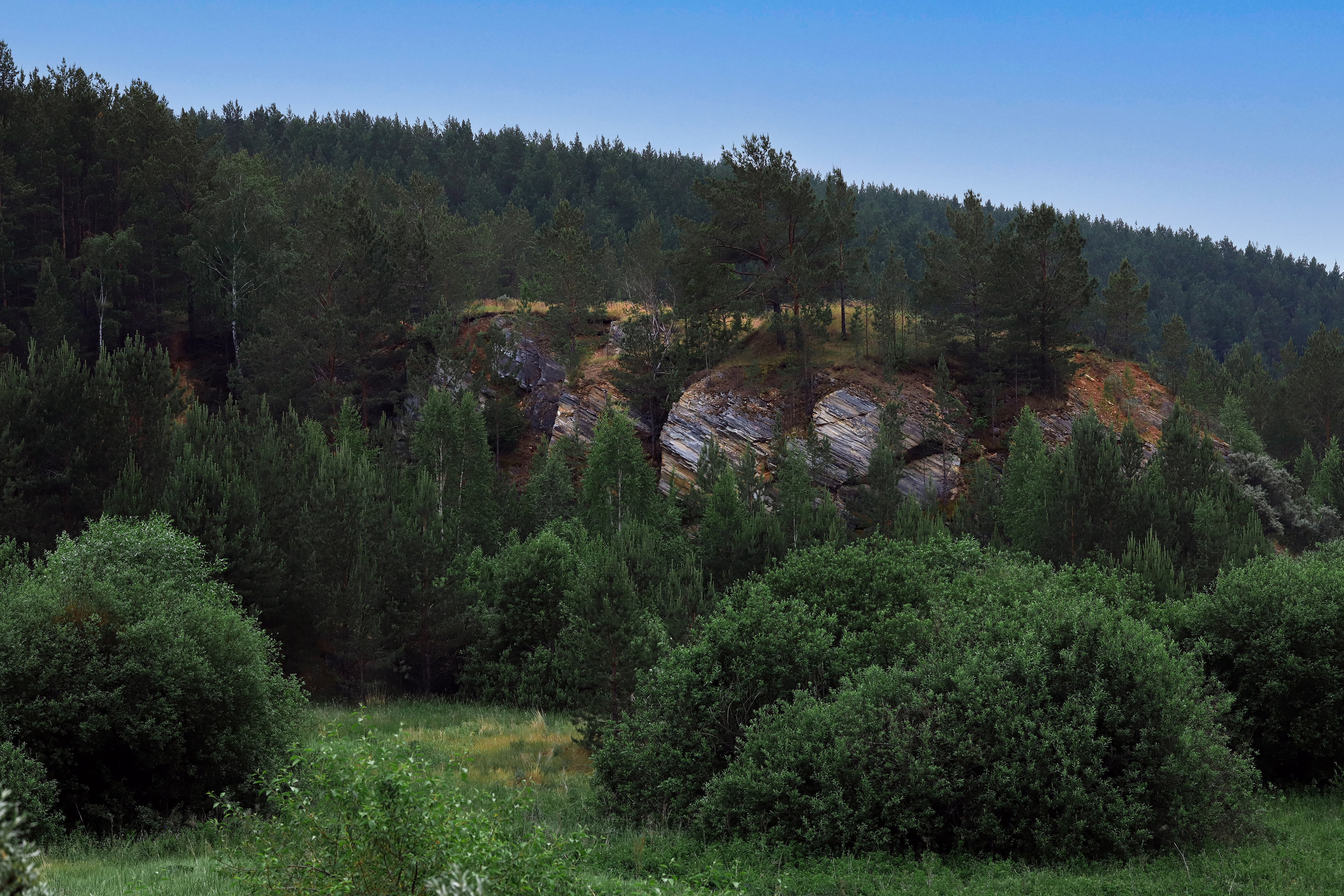 IMG_9505.jpgф.jpgу