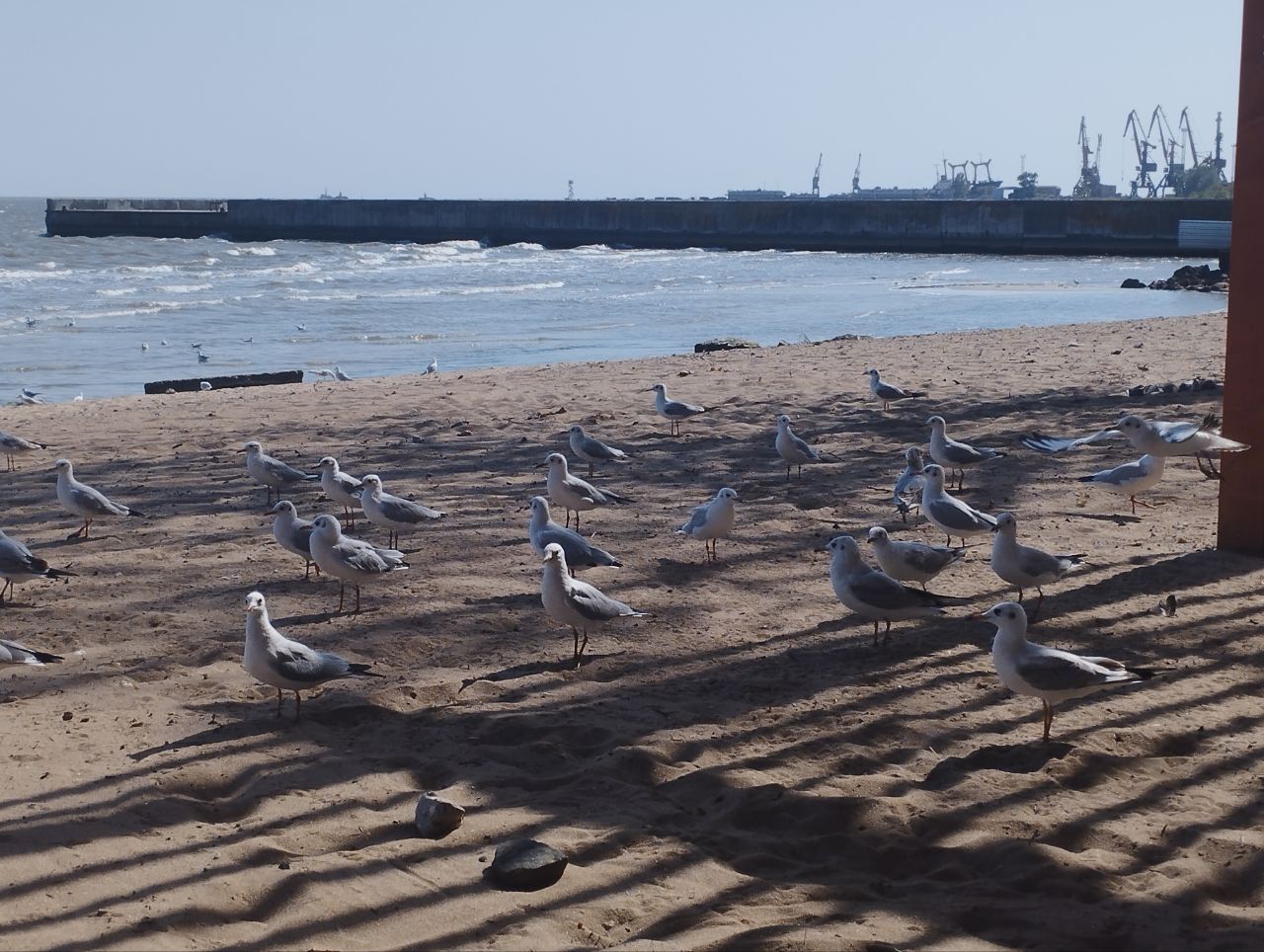 IMG_20251007_183932_987