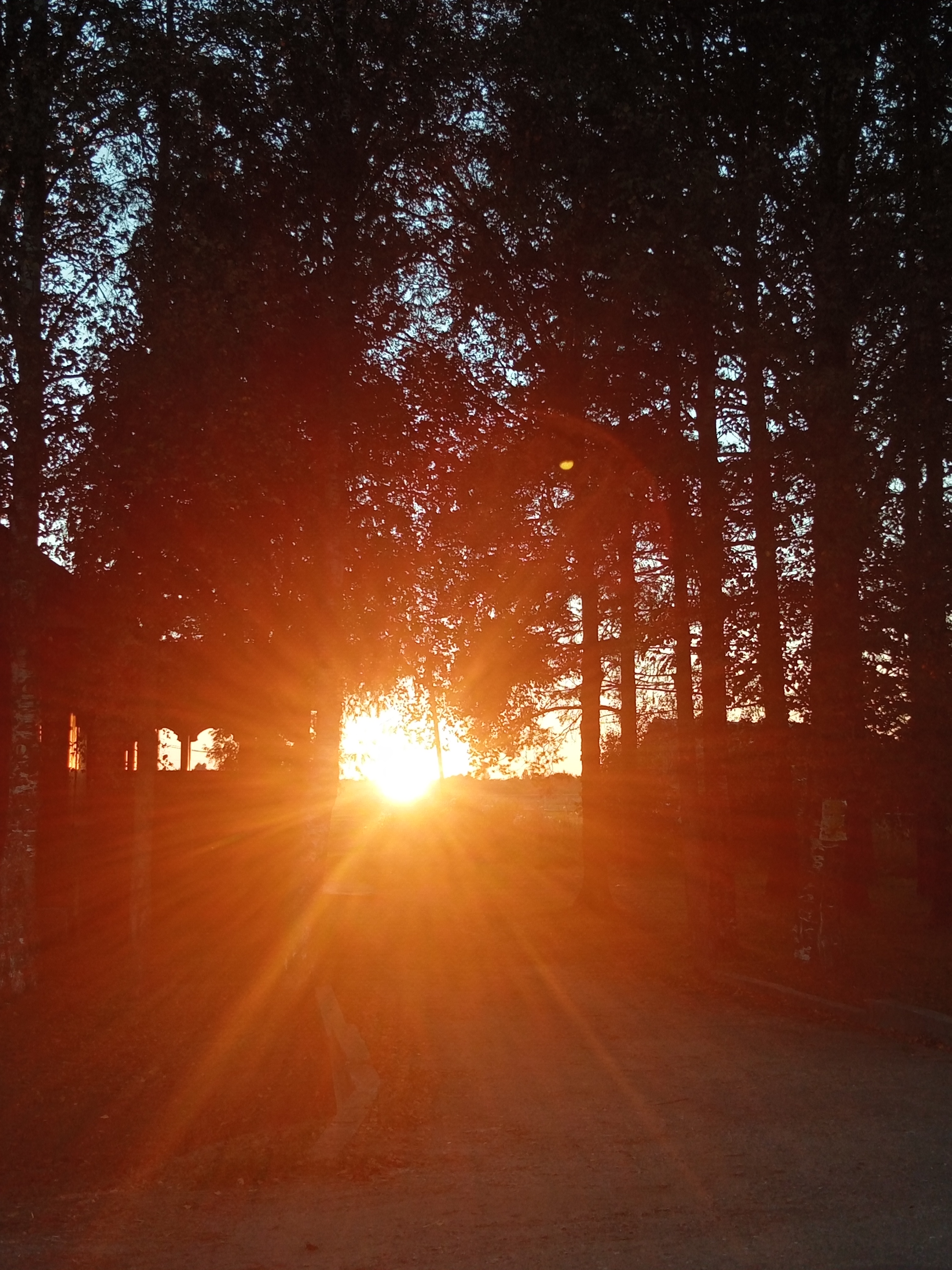 IMG_20250906_190505 (1)