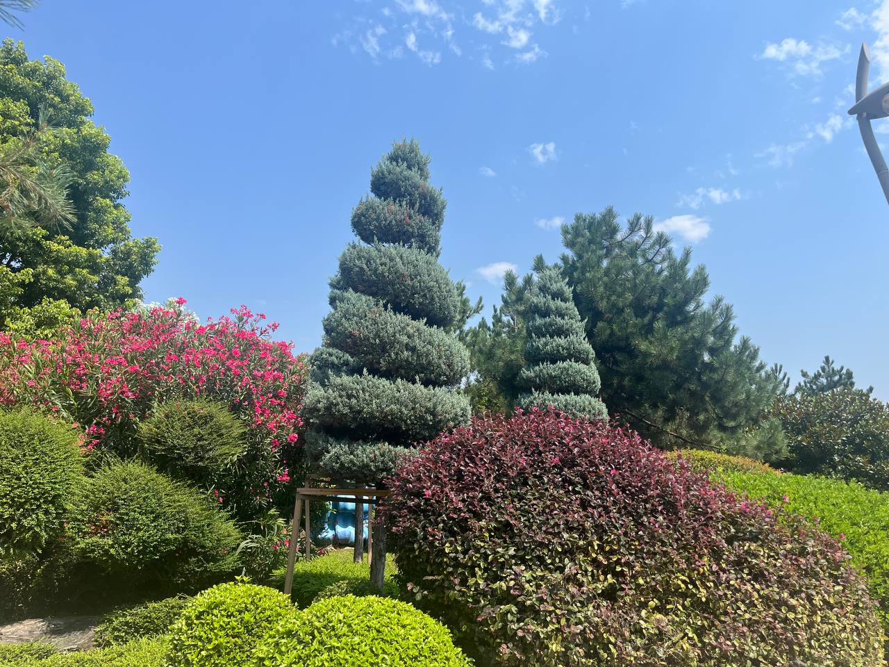 photo_2025-07-30_16-45-14
