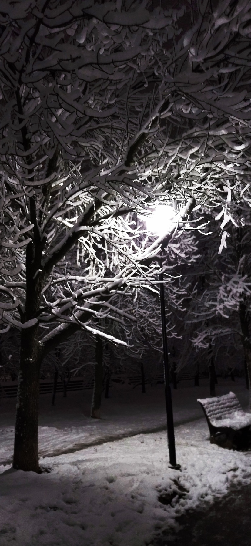 Зимний вечер