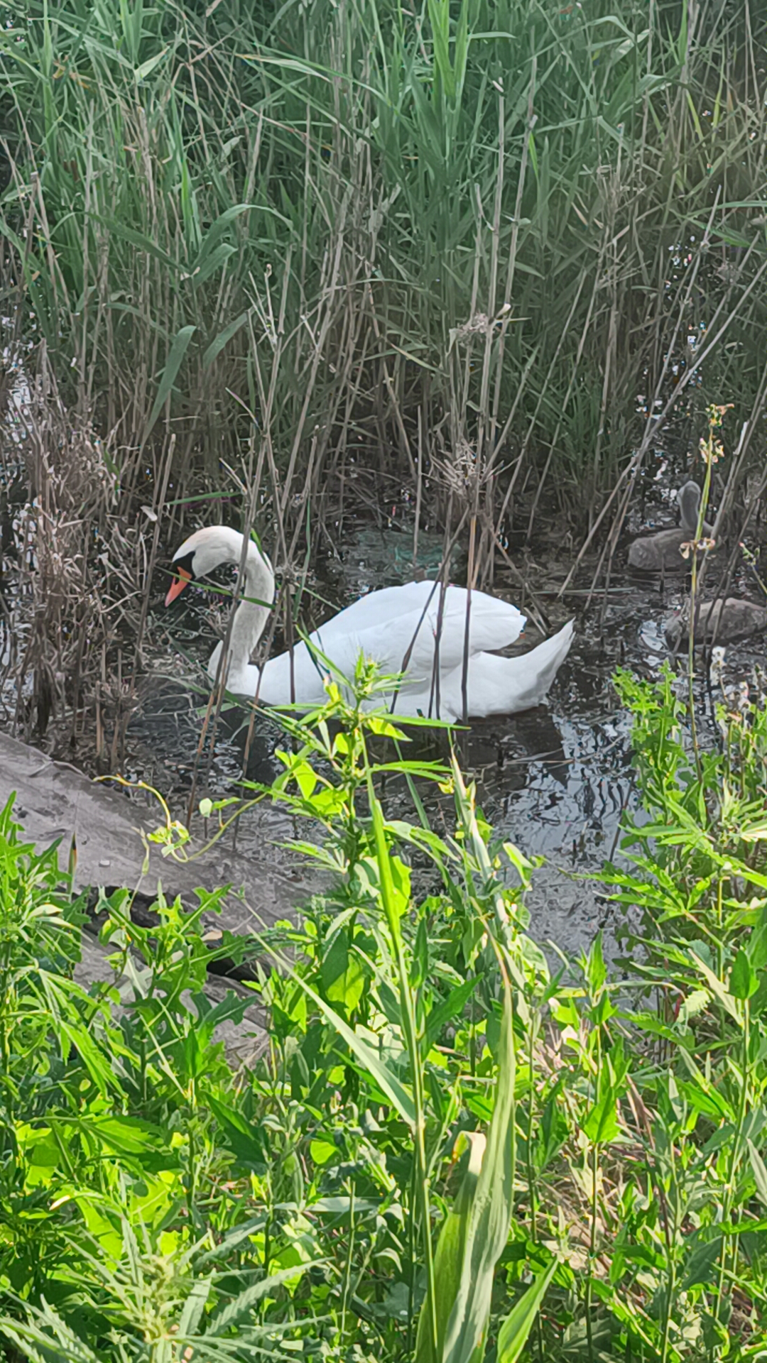 IMG20230618183140_01