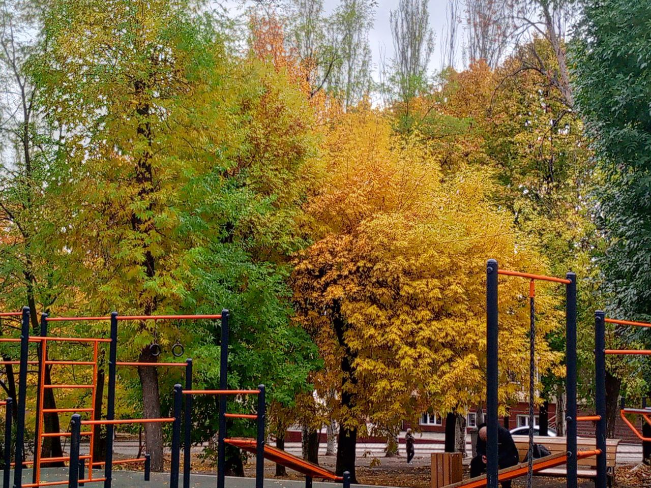 IMG_20251007_202505_690