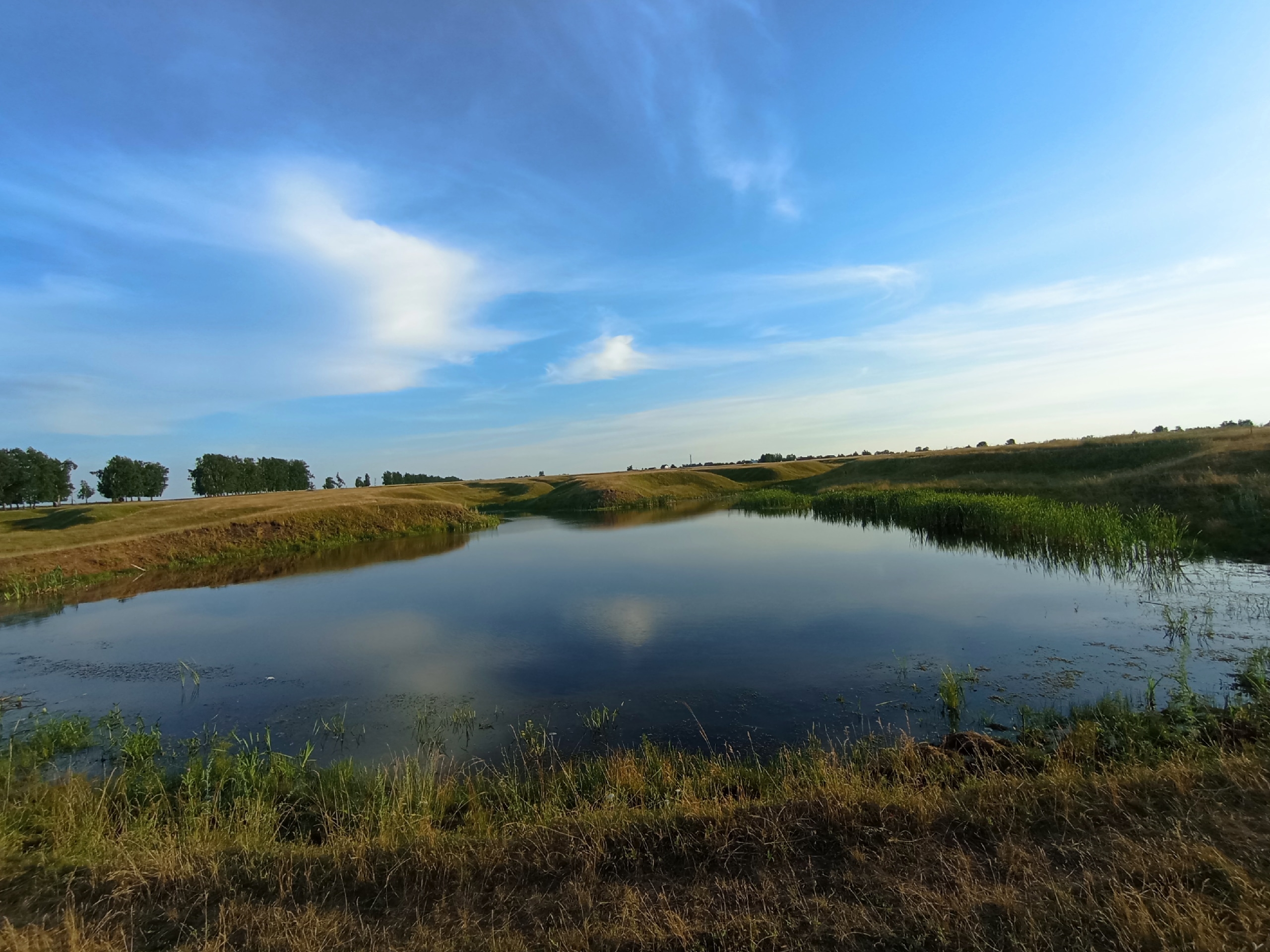 41RN0h0btFiLk1YN48gz-SjYut_wE7oMmUtU5q0cNHxWMtDvwU-QrtfxfTF42FqqVJzlZSU-eYlLq86MrJDB0LLO