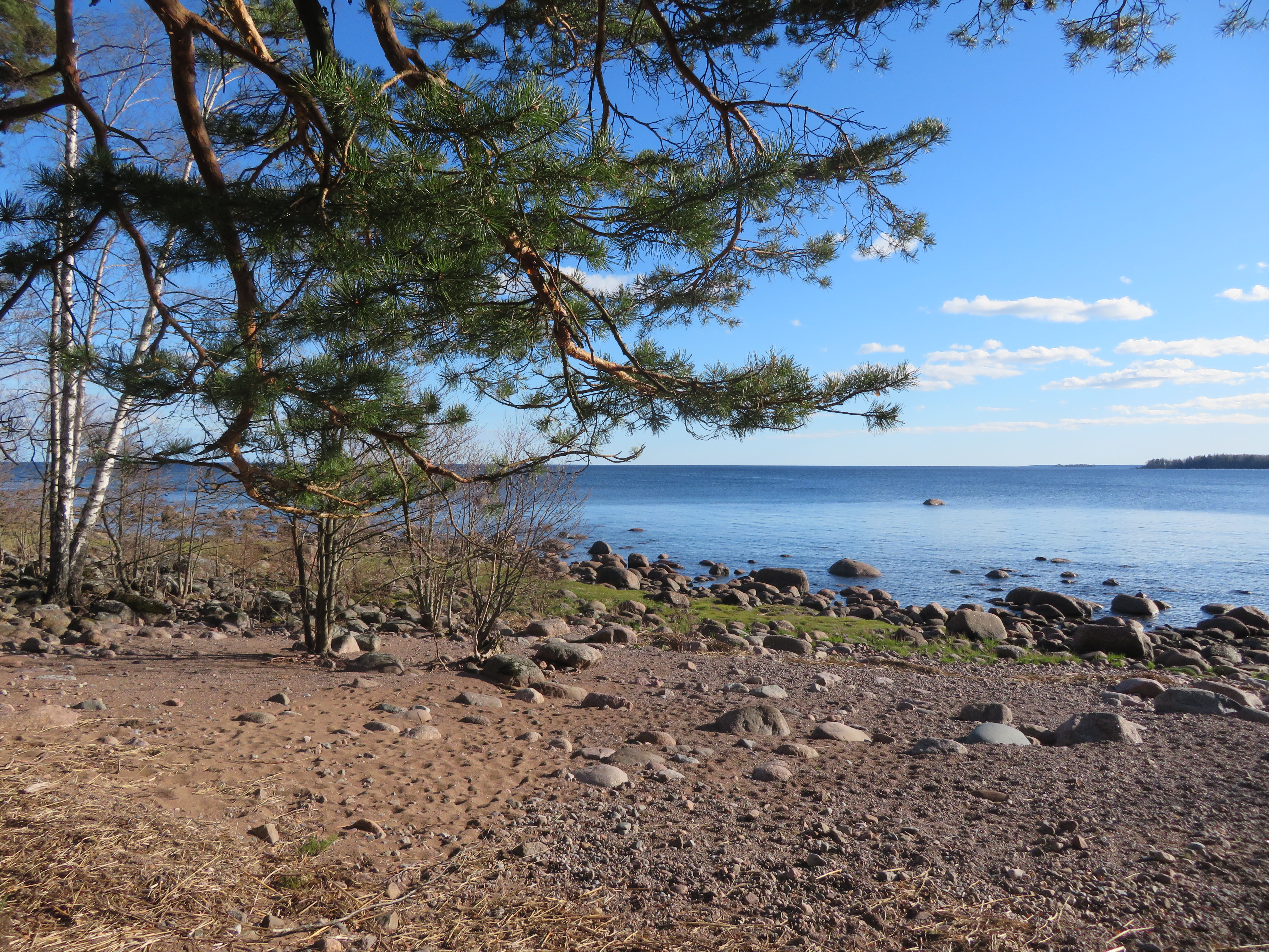 Каменистая тропа