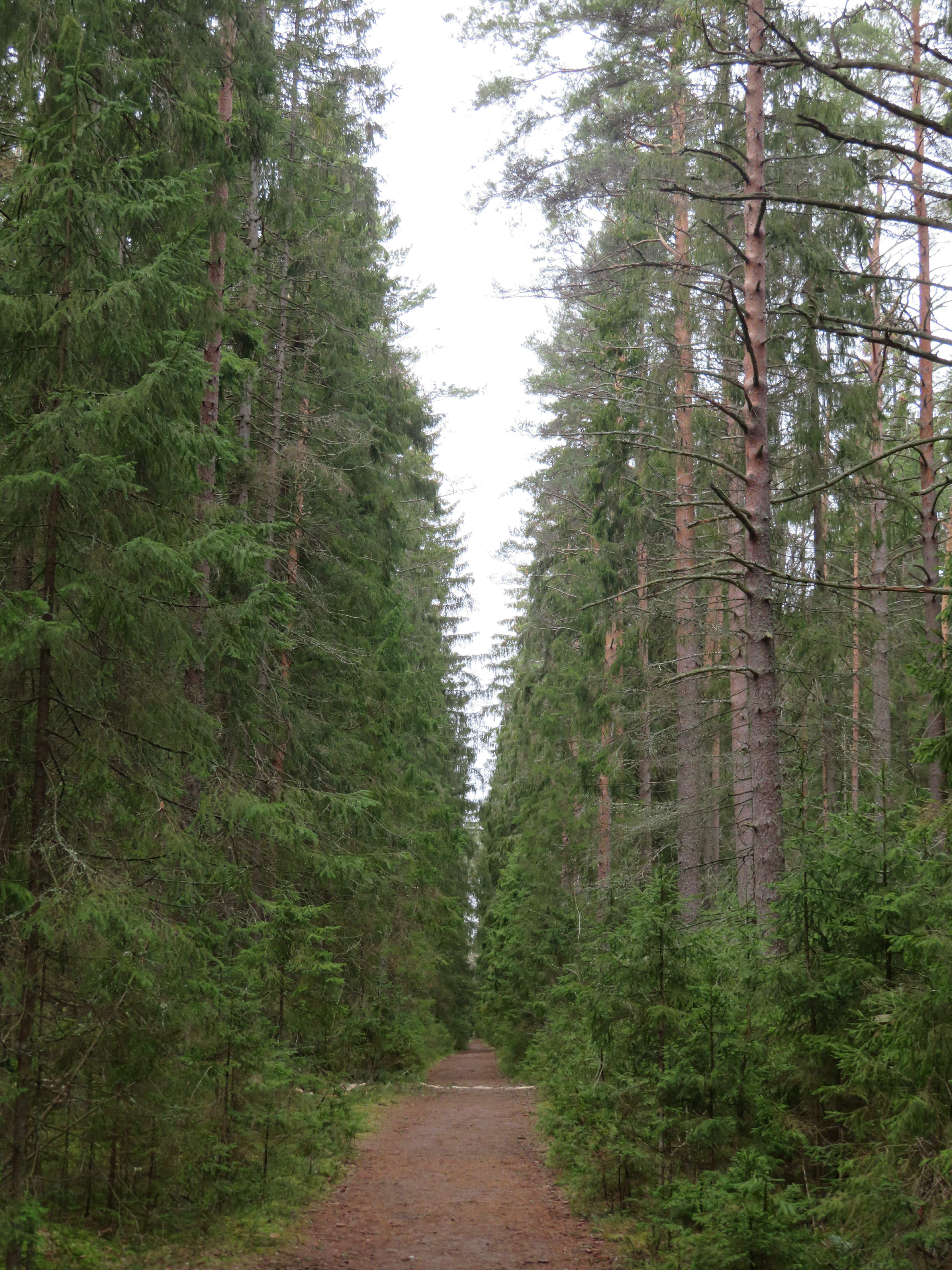 Комаровский берег