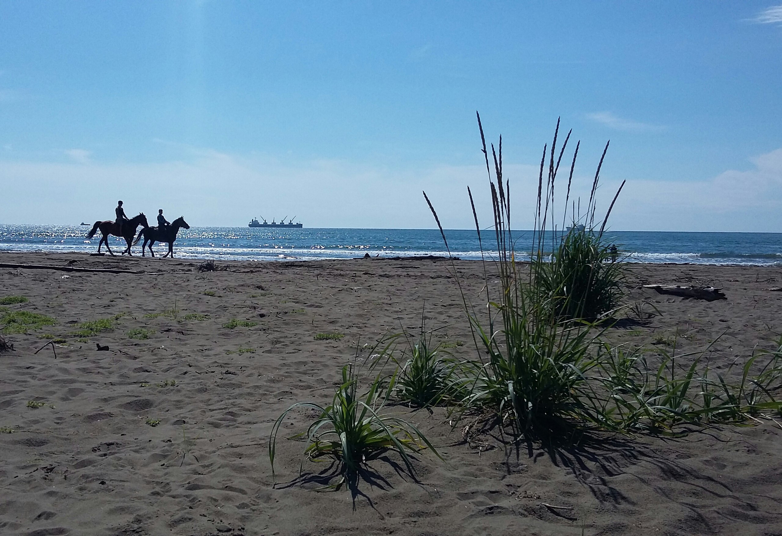 на берегу Татарского пролива